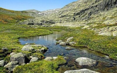 Parque Regional de la Sierra de Gredos Ávila