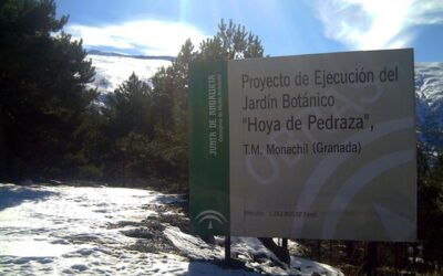 Jardín botánico Hoya de Pedraza