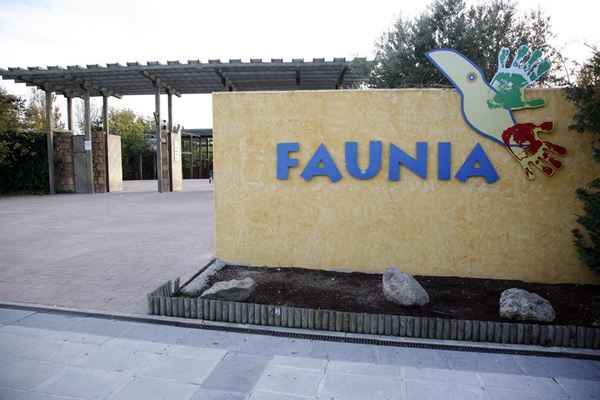 faunia