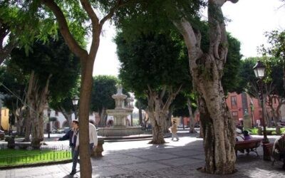 Plaza del Adelantado de San Cristóbal de la Laguna, Isla de Tenerife