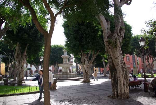 plaza del adelantado de san cristobal de la laguna isla de tenerife