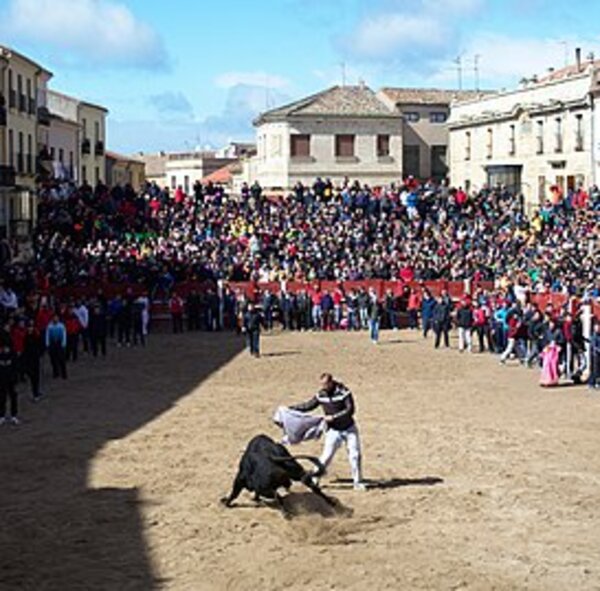 Carnaval del Toro