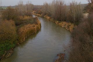 Cuenca Alta de los rios Manzanares Lozoya y Guadarrama