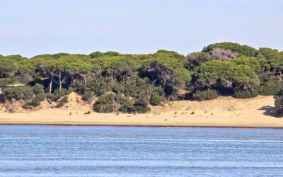 Doñana