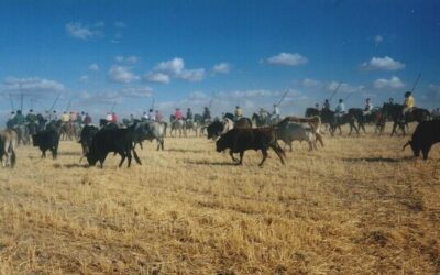 Encierros de Medina del Campo