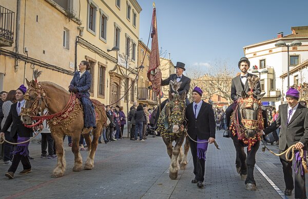 Festa dels Targiners