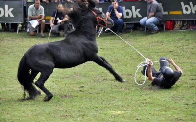 Fiesta del Asturcón