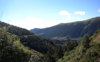 Jardí Botànic de Plantes Medicinals