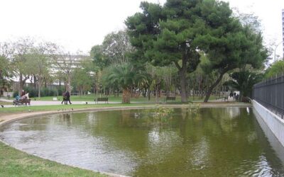 Jardins de Piscines i Esports