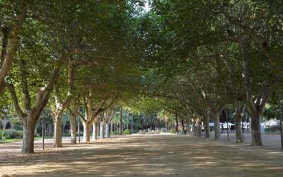 Parc Teodor González