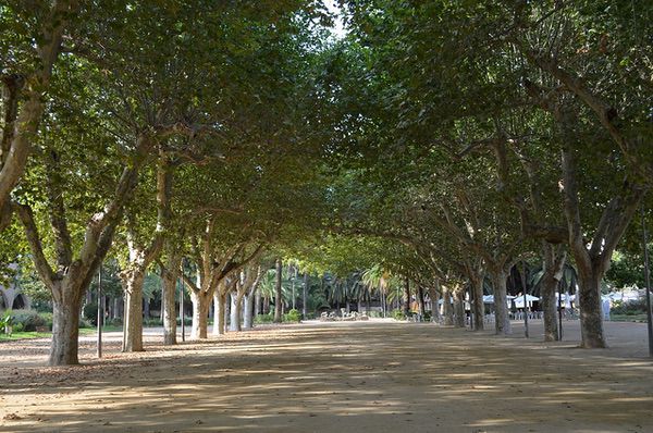 Parc Teodor Gonzalez