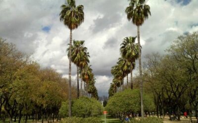 Parque Amate