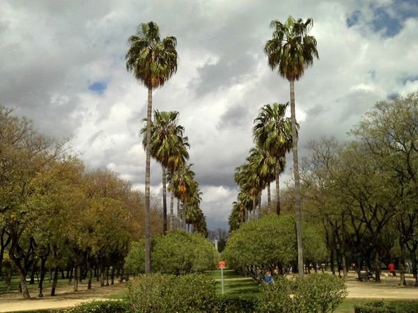 Parque Amate