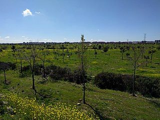 Parque Forestal Bosquesur