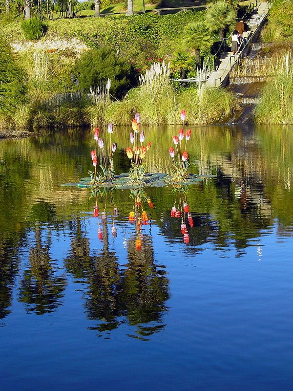 Parque botanico Jose Celestino Mutis