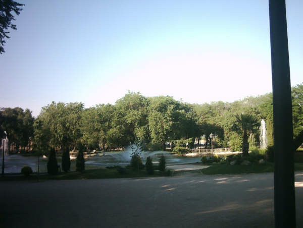 Parque de la Dehesa Boyal