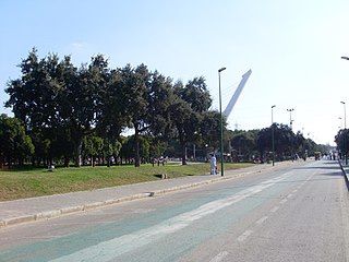 Parque del Alamillo