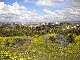 Parque forestal Valdebebas Felipe VI