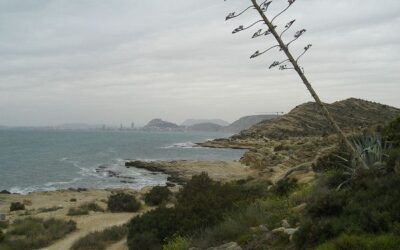 Playa cala de la Palmera