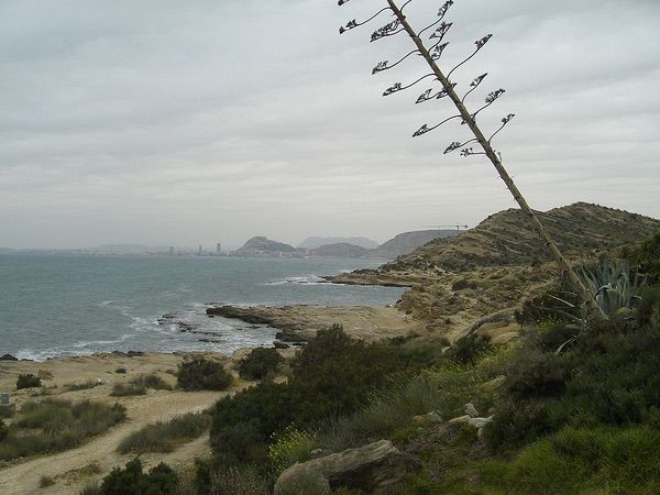 Playa cala de la Palmera