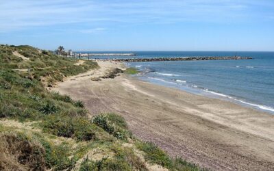 Playa de Artola