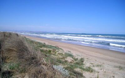 Playa de la Devesa del Saler