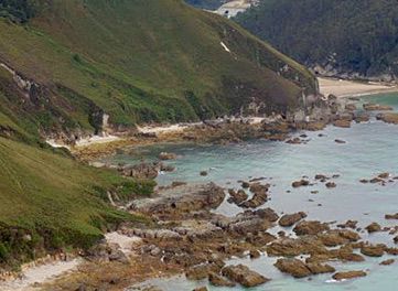 Playa el Oso