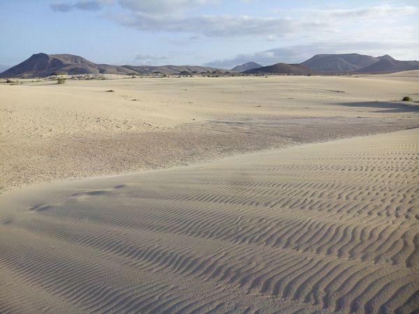 Playas de las dunas de Corralejo