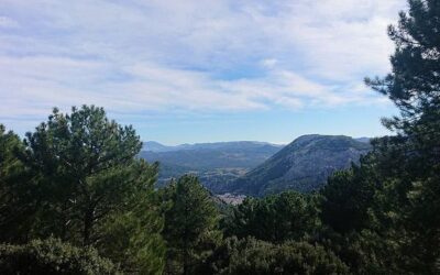 Sierra de Grazalema