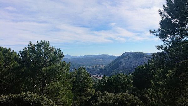 Sierra de Grazalema