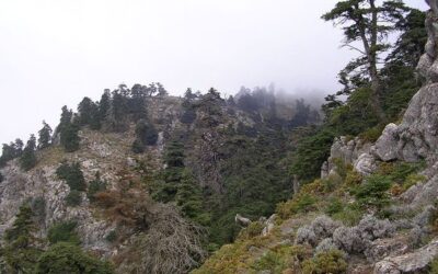 Sierra de las Nieves