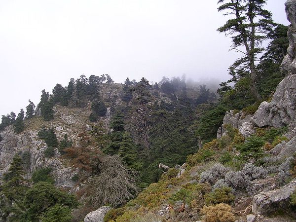 Sierra de las Nieves