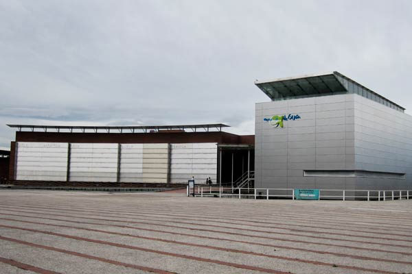 acuario de gijon