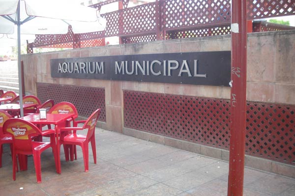 aquarium municipal