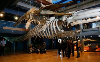 Museo-Acuario Marítimo del Cantábrico