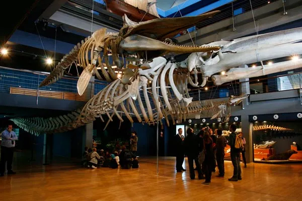 museo maritimo del cantabrico