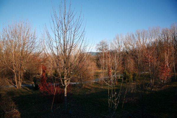 Arboreto Giner de los Rios