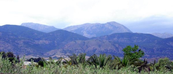 Arboreto de Los Cuadros