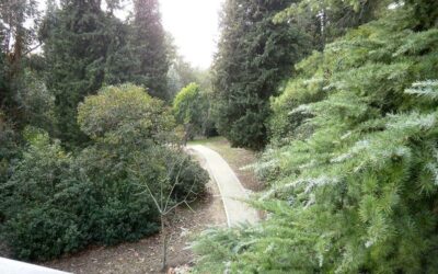 Arboreto de la Escuela de Montes