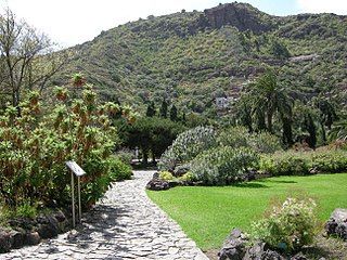 Jardín botánico canario Viera y Clavijo