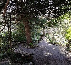 Jardín botánico de Lluc