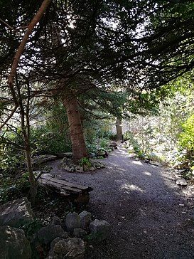 Jardin botanico de Lluc