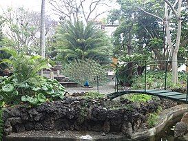 Jardín botánico de la Marquesa de Arucas