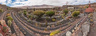 Jardín de Cactus de Lanzarote