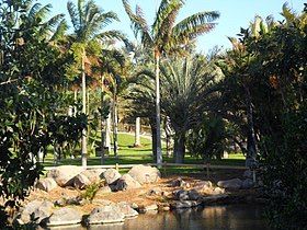 Palmetum de Santa Cruz de Tenerife