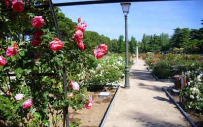 Parque de la Rosaleda