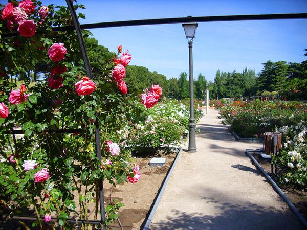 Parque de la Rosaleda