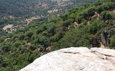 Reserva de la Biosfera Dehesas de Sierra Morena