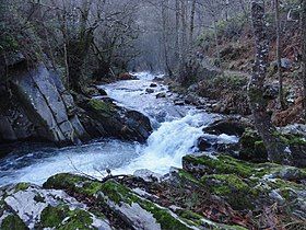 Rio Eo Oscos y Tierras de Buron