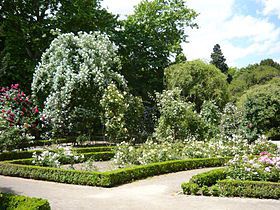 Rosaleda del Real Jardín botánico de Madrid